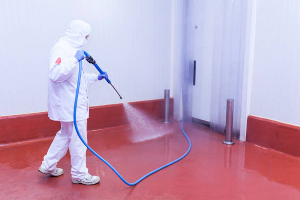 Best Roof Cleaning and Mildew Removal in Lakeview, GA